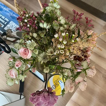 Πανσιόν Angelines, Sneuu