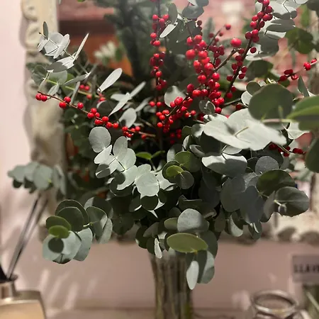 Πανσιόν Angelines, Sneuu *