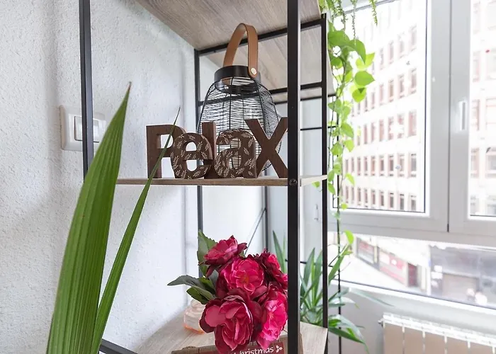 게스트하우스 Angelines, Sneuu