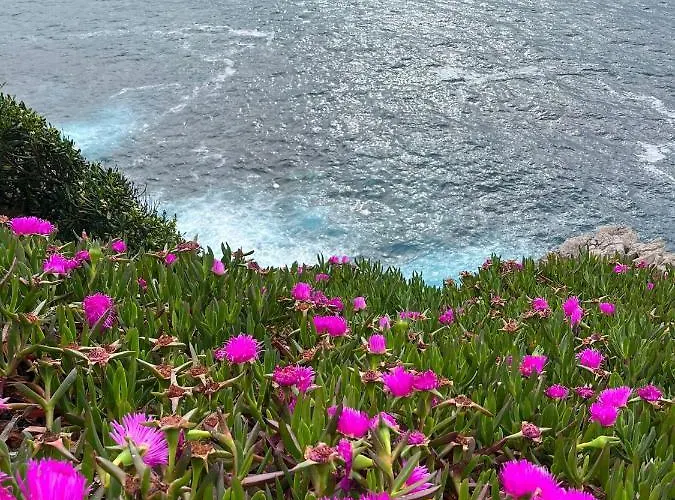 Maison d'hôtes Angelines, Sneuu *