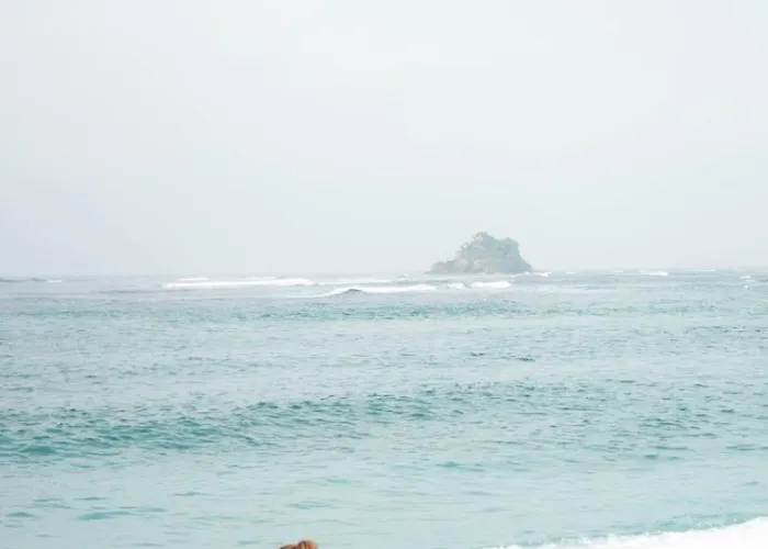 Angelines, Sneuu Πανσιόν Σανταντέρ