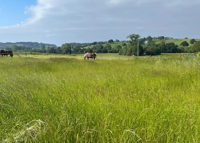 Angelines, Sneuu Maison d'hôtes Santander