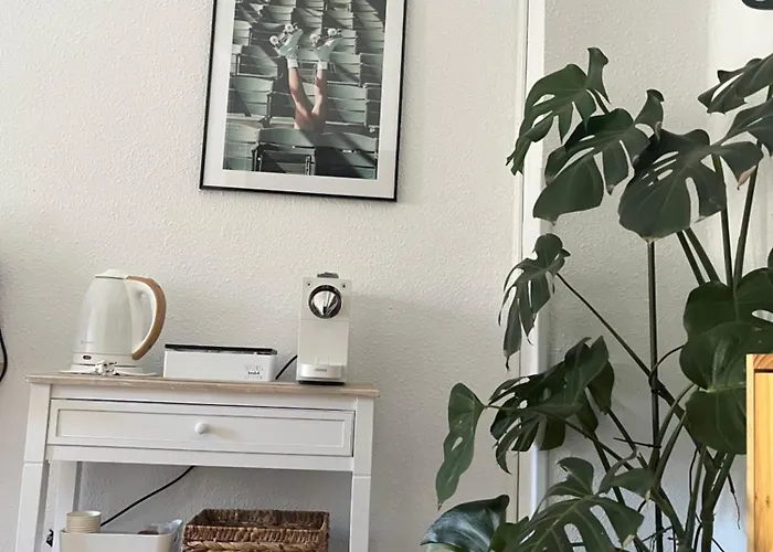 Maison d'hôtes Angelines, Sneuu