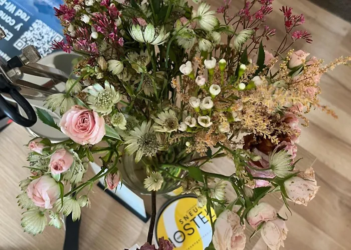 게스트하우스 Angelines, Sneuu