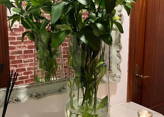 Angelines, Sneuu 게스트하우스