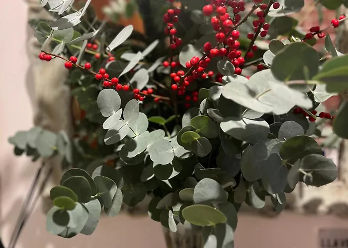 Pensjonat Angelines, Sneuu *