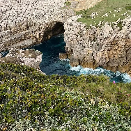 Angelines, Sneuu Santander