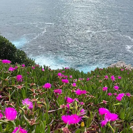 Konukevi Angelines, Sneuu *