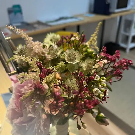 Angelines, Sneuu Konukevi *