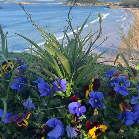 Angelines, Sneuu * Santander