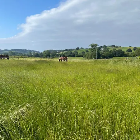 Angelines, Sneuu Konukevi Santander