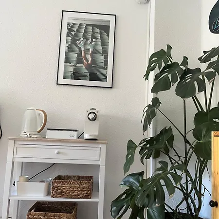 Konukevi Angelines, Sneuu