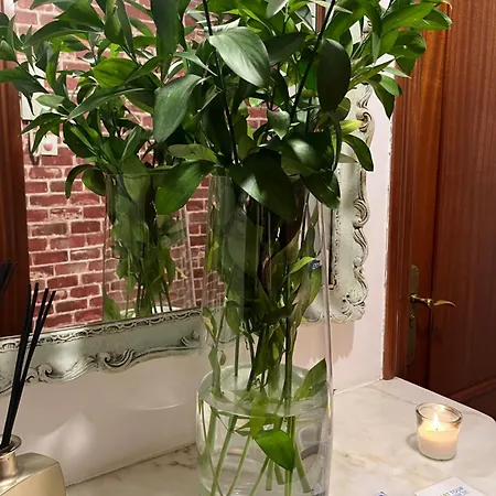 Angelines, Sneuu Konukevi