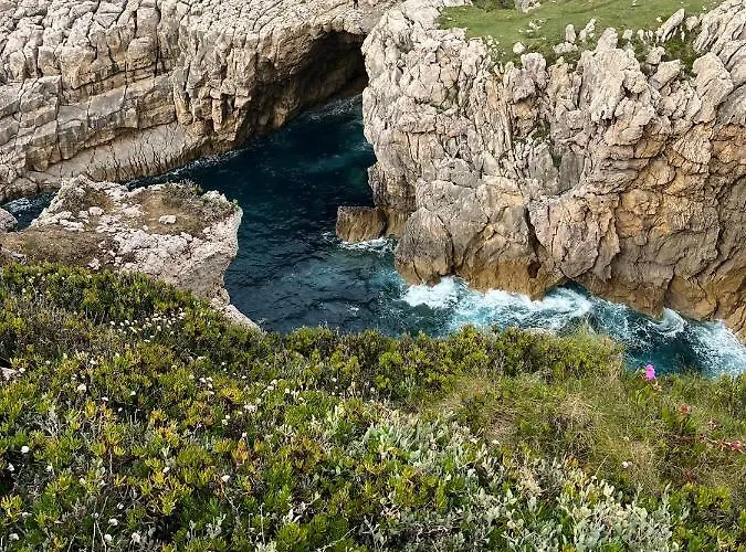 Angelines, Sneuu סנטנדר